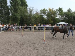 IMG_1369_web